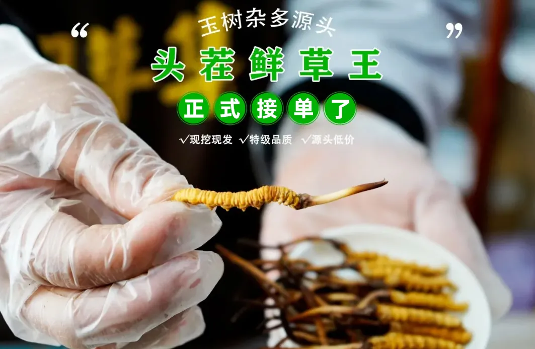 反诈警示图片